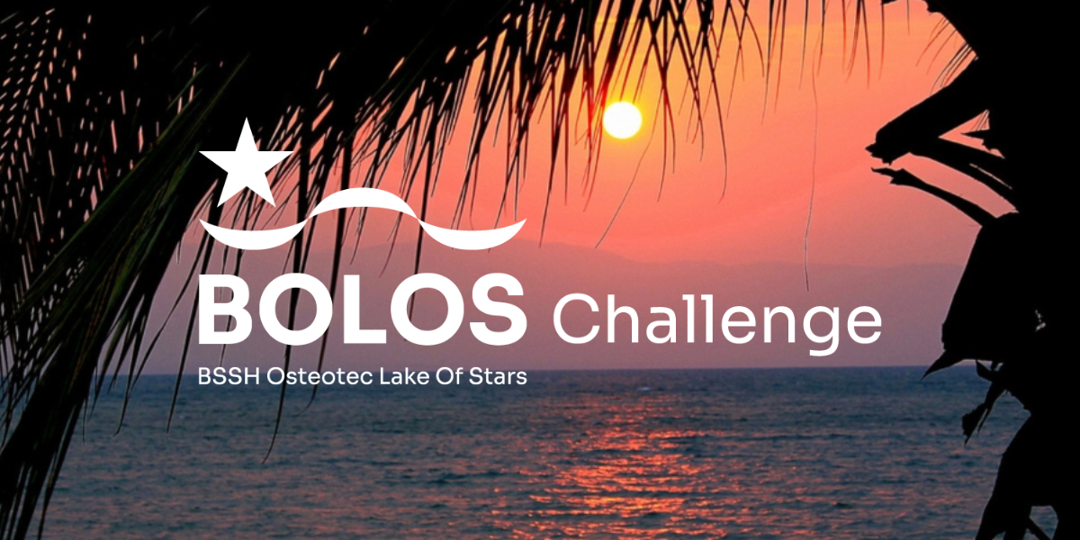 BOLOS Challenge